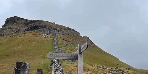 Parking Ryan Nevis (21+)