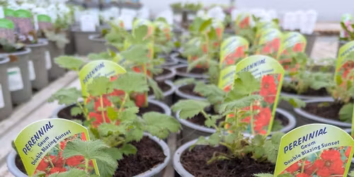 Northdale Propagation Workshop 