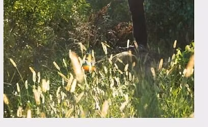 NATIVE AMERICAN FLUTE CLASS AT THE OLATHE ART GALLERY