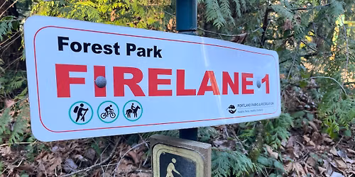 Firelane Trail Trial