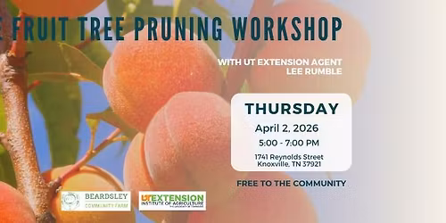 Stone Fruit Tree Pruning Workshop