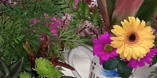 Cups of Cheer and Joy