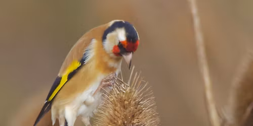 Professor John Reilly - Subject TBC