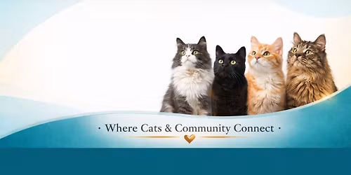 Cinco de Meow Shopping Extravganza 