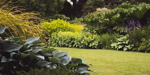 Garden Tour 2026 (Elmira District Horticultural Society)