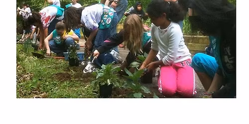 Volunteers Needed - Greenscape Planting at the Children's Museum