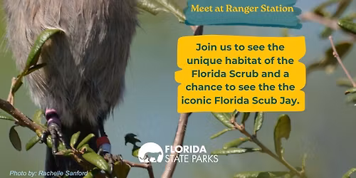 Guided Jaywalks at Blue Spring State Park