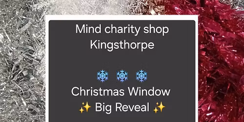 \u2728\ufe0f Christmas Window Big Reveal \u2728\ufe0f