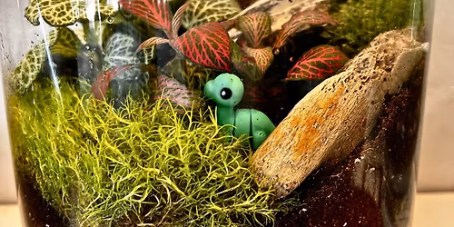 Kids Terrarium Workshop