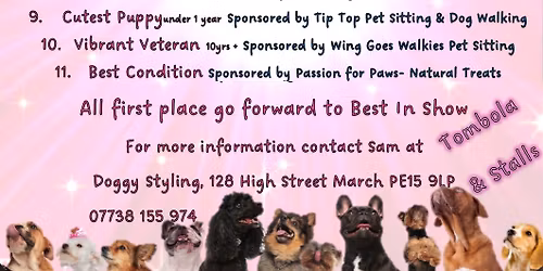 March Summer Festival Dog Show 2026