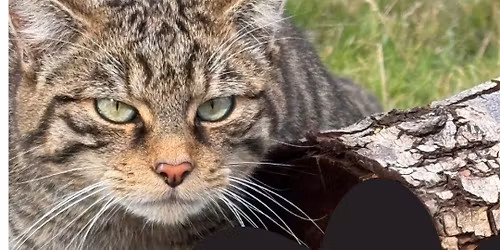 Photography Workshop