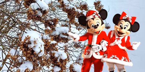 Mini kerstmarkt - Pastorie tuin Someren eind