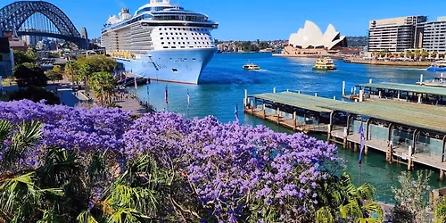 Sunshine Coast Over 60 Cruise and Travel Buddies