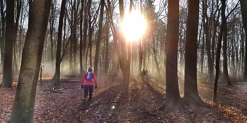 Les Foul\u00e9es Cernaysiennes 2026