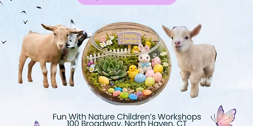 Easter Terrarium and Baby Goat Cuddles