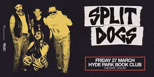 Split Dogs, Live in Leeds