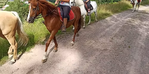 Retraite yoga et balade \u00e0 cheval 