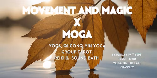 MOVEMENT AND MAGIC  X MOGA.