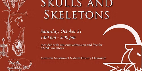 Skulls and Skeletons