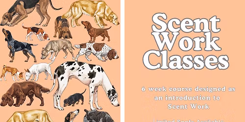 Primary Scent Work Classes