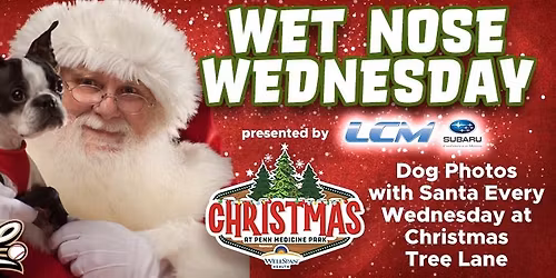 Christmas Tree Lane - Wet Nose Wednesday