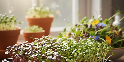 Sunninghill | Microgreen Growing Workshop (Hands-On) | 10 May @9am