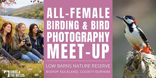 All-Female Bird & Bird Photography Morning