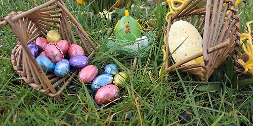Easter Fun in the Forest