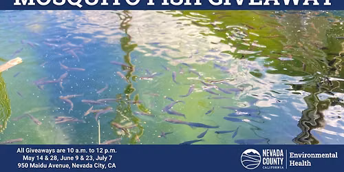 2026 Mosquito Fish Giveaway