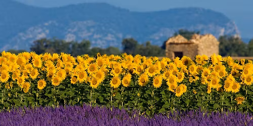 Marselha, Cannes, Nice, M\u00f3naco - Lotada 