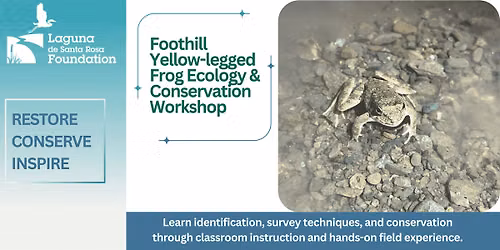 Foothill Yellow-legged Frog Ecology & Conservation Workshop
