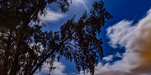 9th annual Garden Enchantment 