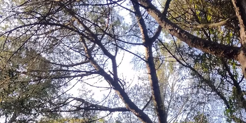 Passeio em Fam\u00edlia