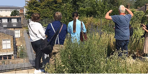 University of Greenwich Roof Garden & Living Walls - Guided Tour