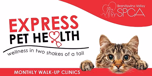 Express Pet Health: Georgetown