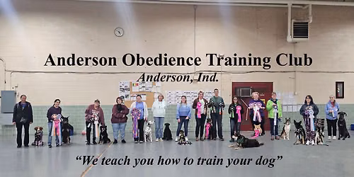 Anderson\/Muncie Kennel Clubs, Iced Tea Cluster Show