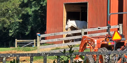 Turning Point Training horsemanship clinic 