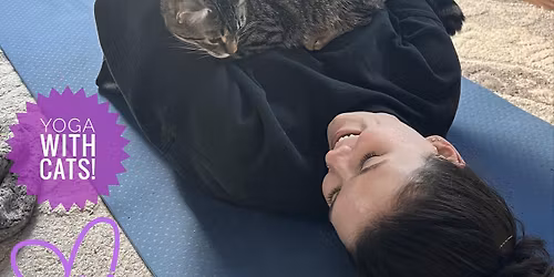Yoga with Cats!