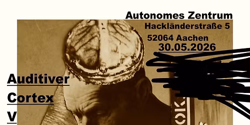 Auditiver Cortex V