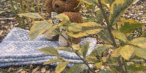 Andr\u00e1s L\u00e1szl\u00f3: Egy medvekutat\u00f3 feljegyz\u00e9sei