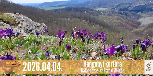 Hangonyi k\u00f6rt\u00fara - kalandoz\u00e1s az \u00c9szaki Z\u00f6ld\u00f6n