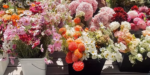 Pumpkin Floral Arrangement Workshop