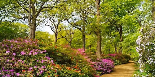An-Nisa Women\u2019s Walk: Richmond Park & Isabella Plantation