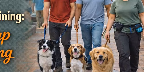 Group Dog Training: Group Outing