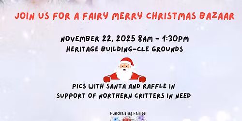 Fairy Merry Christmas Bazaar