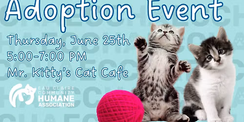 On-Site Kitten Adoption Event