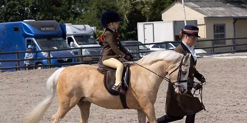 \ud83d\udc34Indoor Ridden And Inhand Show \ud83d\udc34