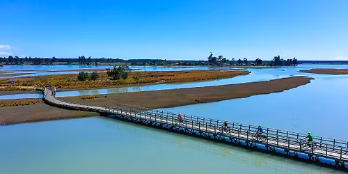 Cycle Nelson area and Abel Tasman experience