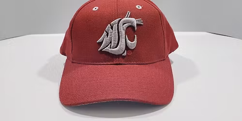 Davidson Wildcats vs. Washington State Cougars