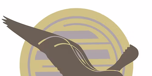 Open Space - A Sound Journey with Horses In collaboration with Peregrine Sound Therapy